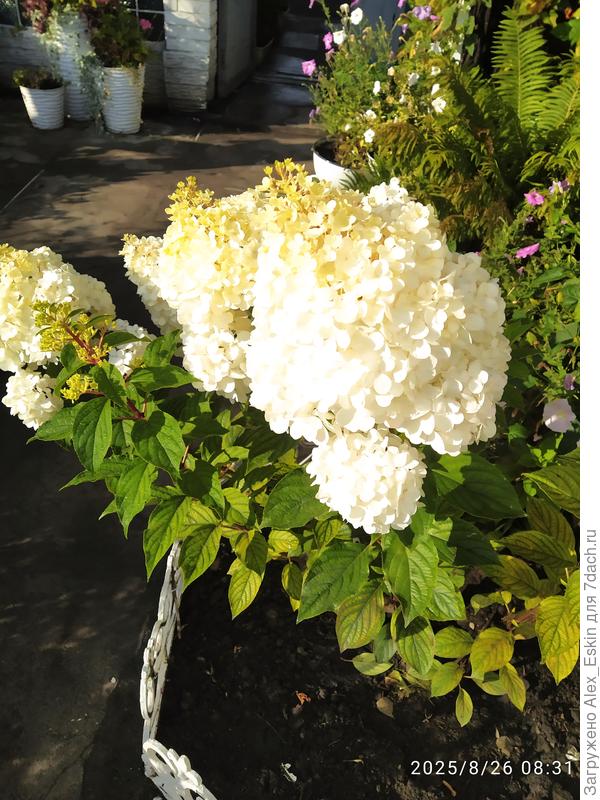 А это для тебя!