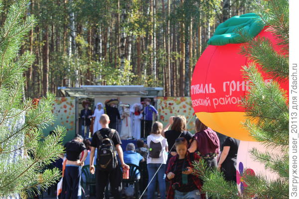 Фестиваль грибов