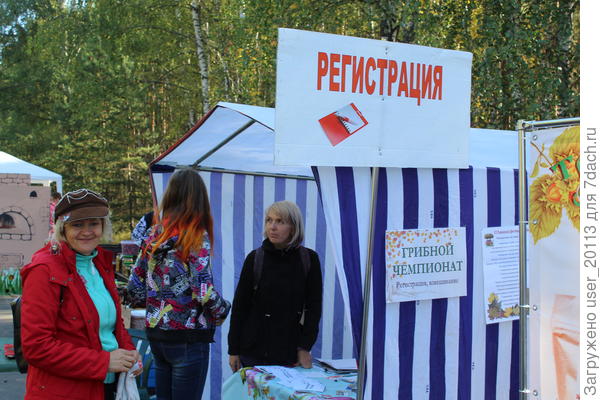 Жюри