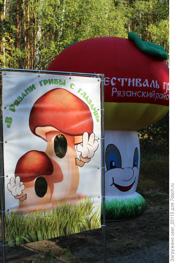 А мы- грибы