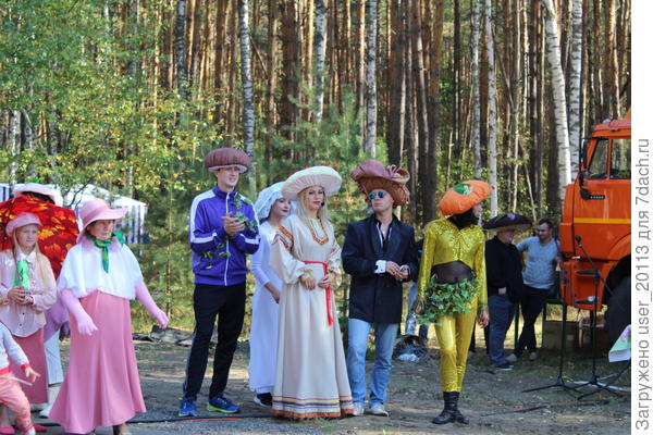 Грибы