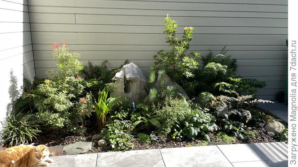 Моховый сад в июле прошлого года