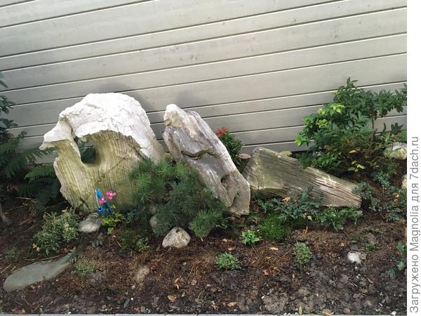 Теневой сад в начале