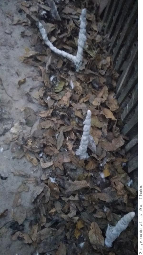 Вот так я его спрятал.