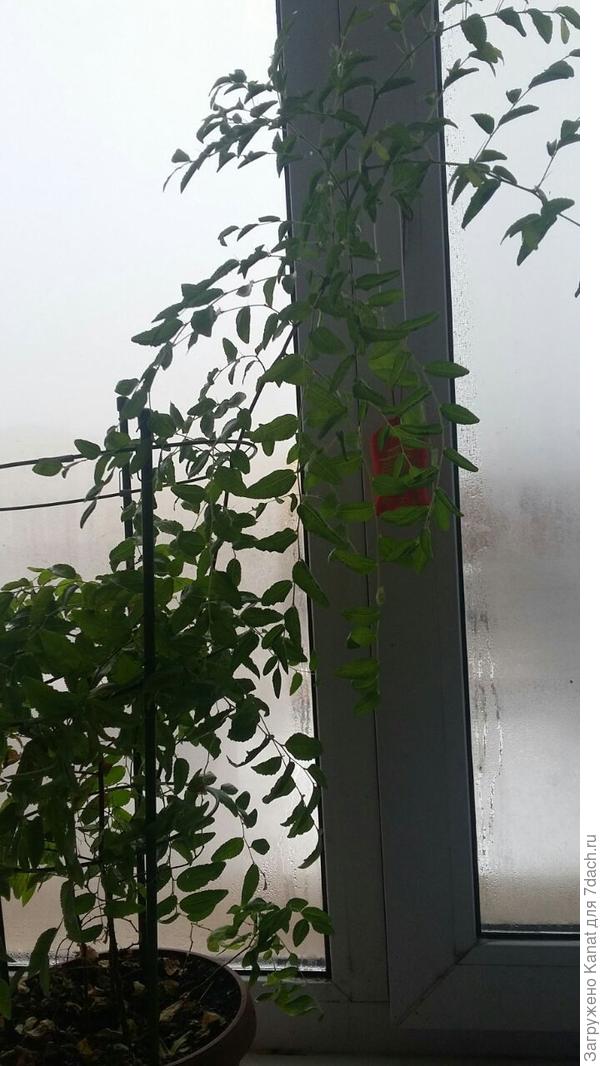 Номер 2