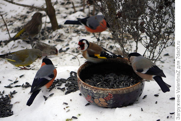 Это малая часть!