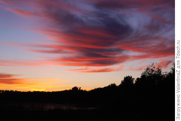Вот такое на днях было...