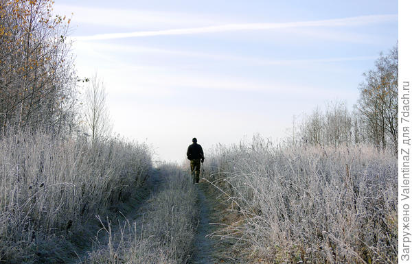 Вот она, сказка!