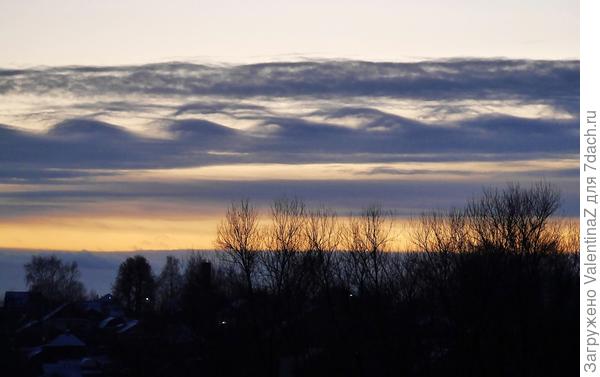 А как-то прямо из окна сняла вот такие облака, волнами. Недавно узнала, что они довольно редкие и имеют название облака Кельвина - Гельмгольца!