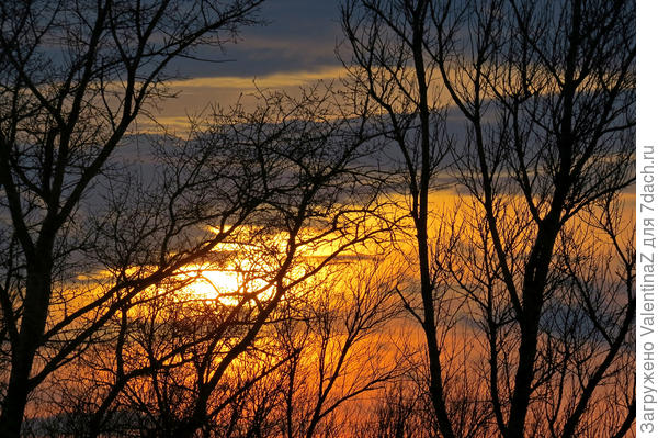 Сколько оттенков!