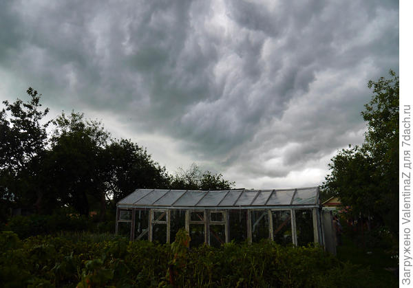 Тучи над дачами встали!