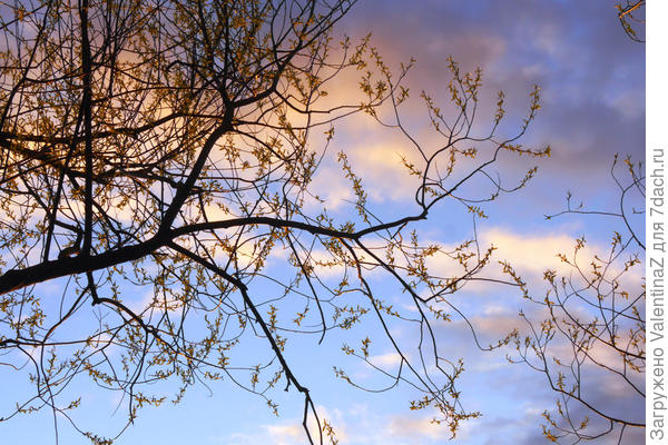 День выстоял без дождя, хоть и с облаками.