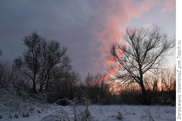 Вечер первого дня нынешней зимы