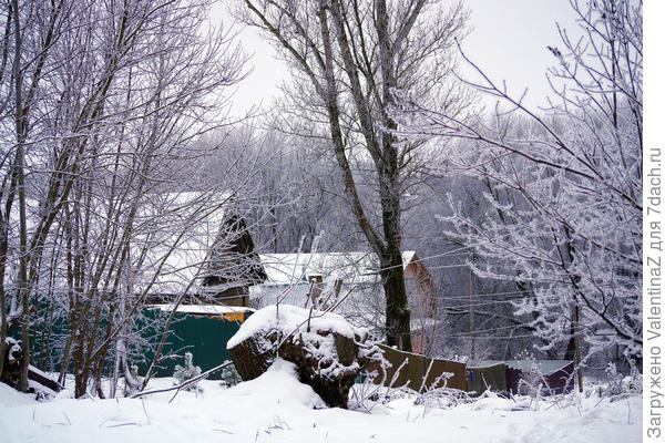 Зима неплохо началась!