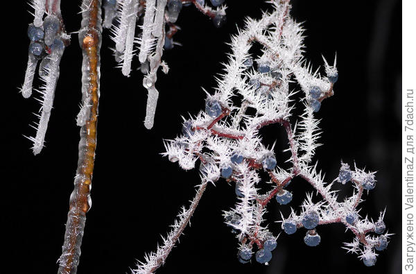 2декабря этого года, зима решила нас порадовать красотой!