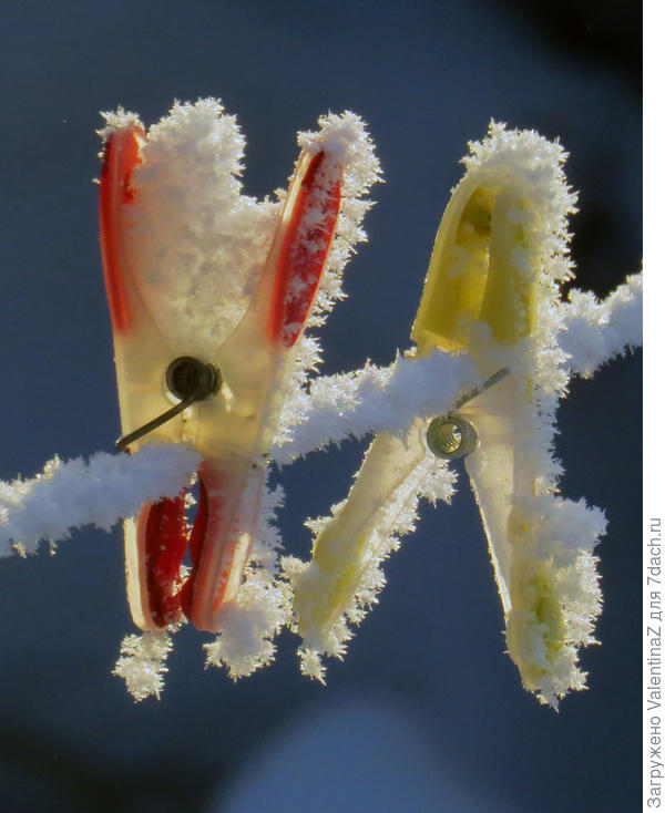 Это фото прошлых лет...