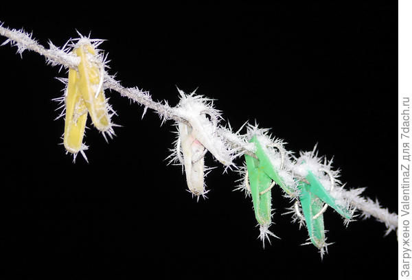 А это вариант ночной...