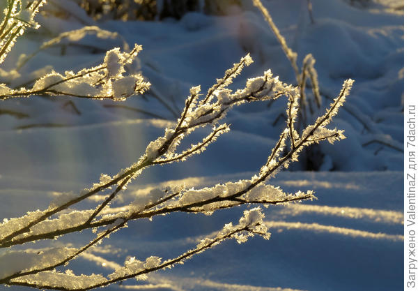 Мороз и солнце...