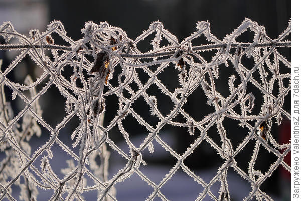 Сетка рабица