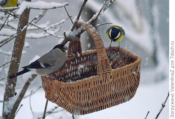 Всем хватит!