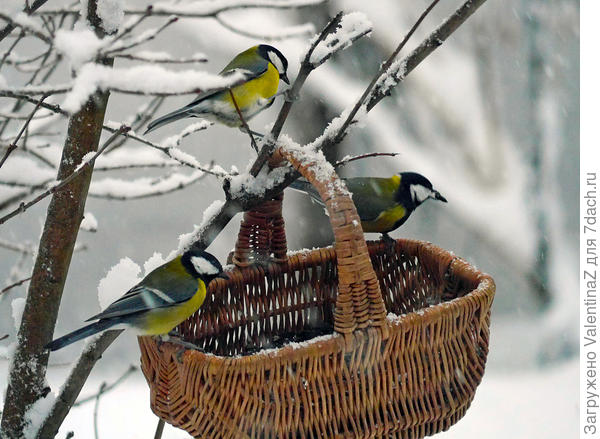 Особого приглашения не потребовалось!