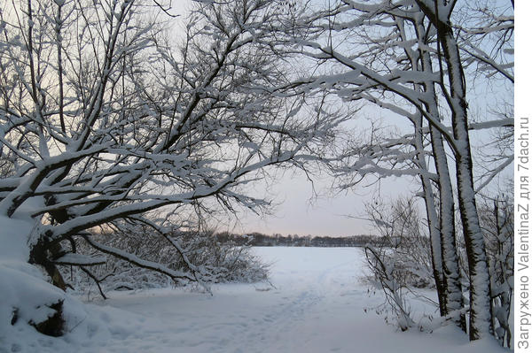 Лыжники проторили свою лыжню по реке.Удобно!