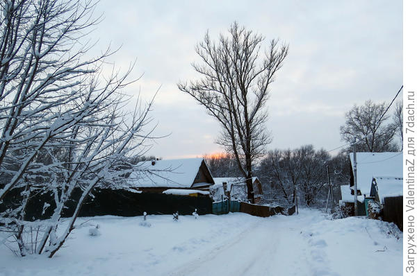 Нынче зима у нас настоящая! Со снежком и с морозом! Не то, что прошлая!По этому переулочку спускаюсь к реке Мологе.