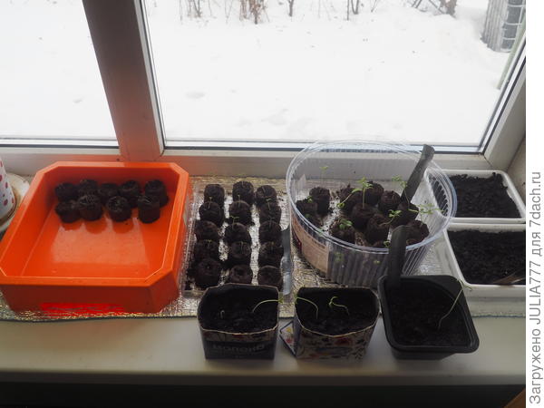 Экспериментирую пока...