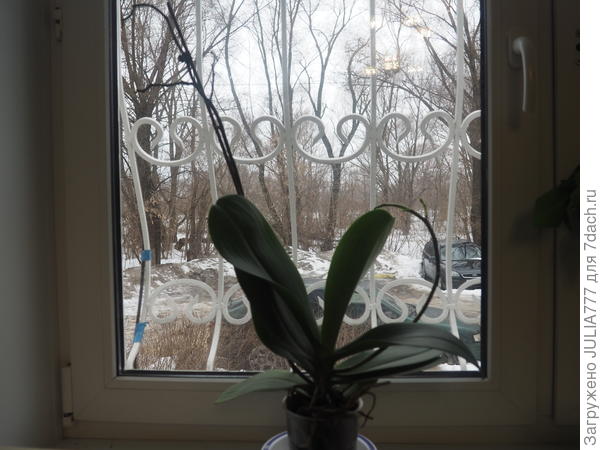 Была очень красивого-сиреневого цвета!