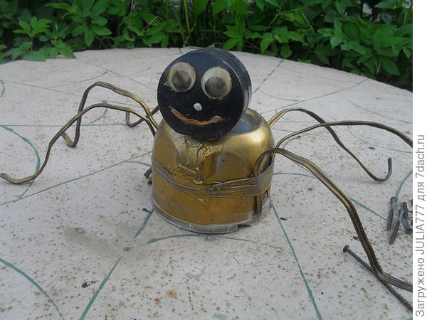 На фото правда паучку уже года три)))