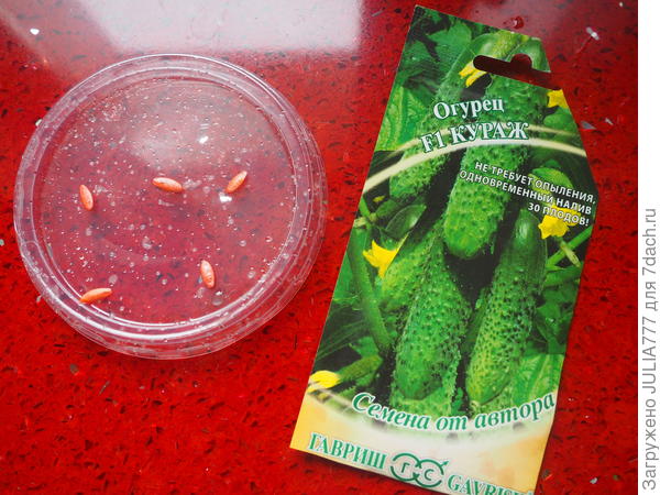 Кураж 20.04.19.