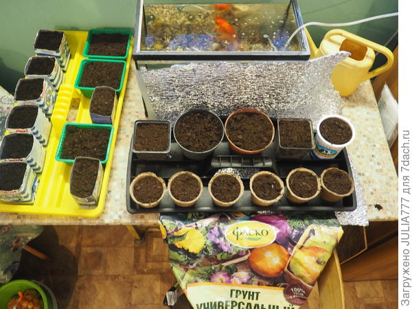 Грунт Фаско универсальный-очень понравился и мне и рассаде от цветочков до овощей.