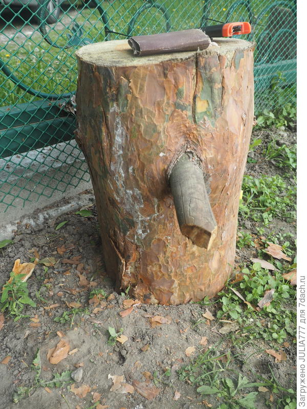 Подровняла "клюв".