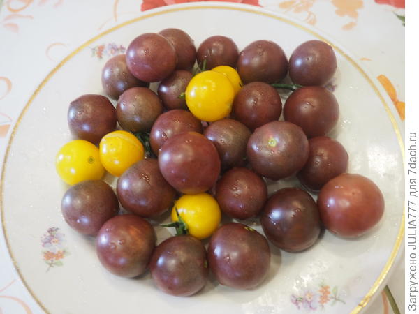 Мои черики.