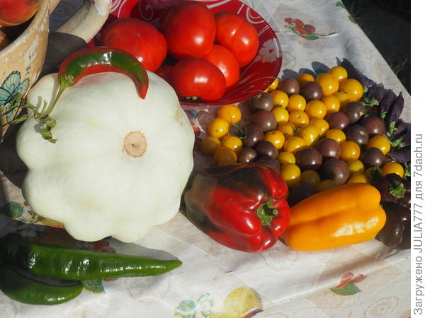 Дачное изобилие.