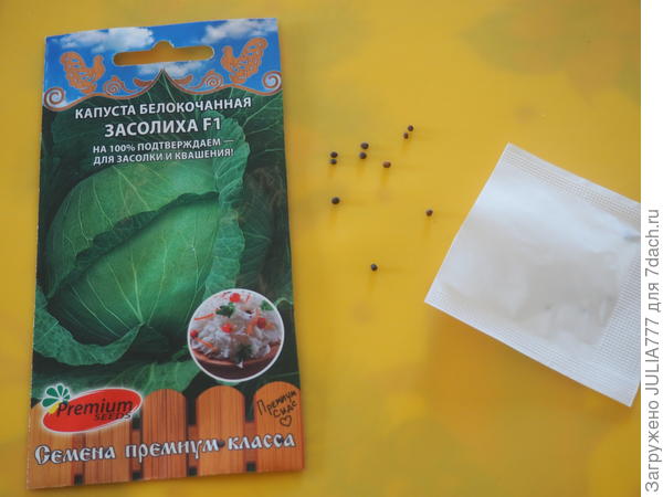 капуста