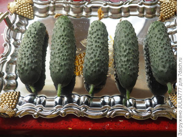 кап