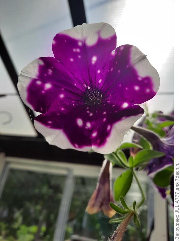 Это просто космос какой-то