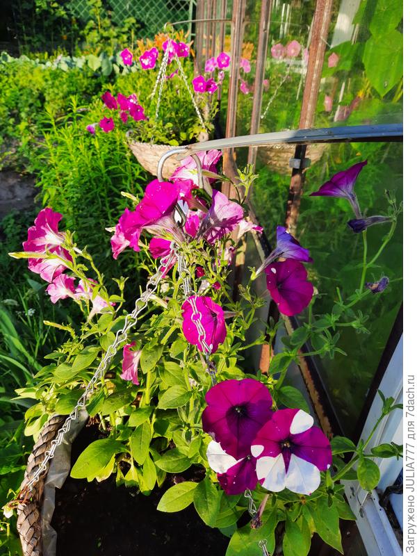 Просто космос