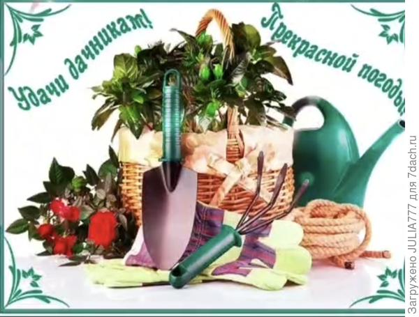 Я сбегаю в огород и теплицу не от ссор, а побыть в тишине. С моей оравой это мое место восстановить душевное равновесие)