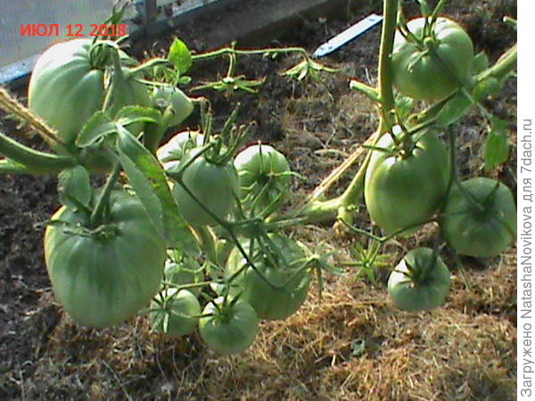 может не заразятся