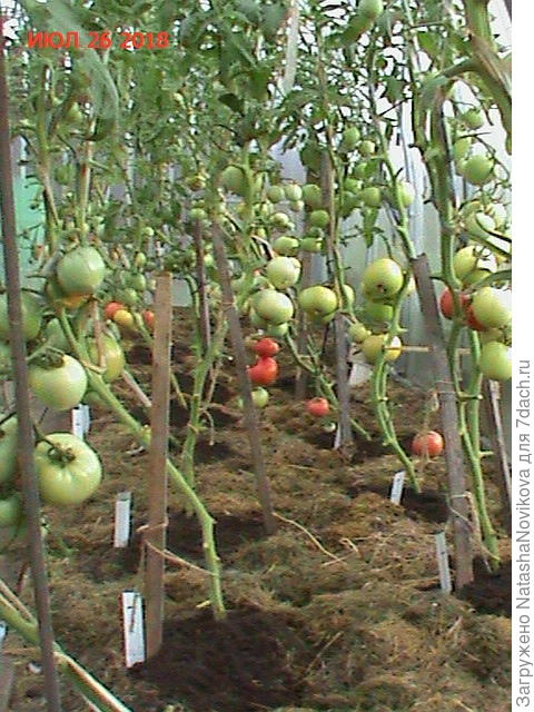 каждый корень