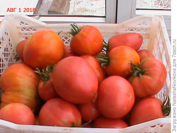 буду взвешивать