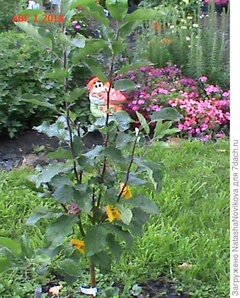 или укротить? на сколько?