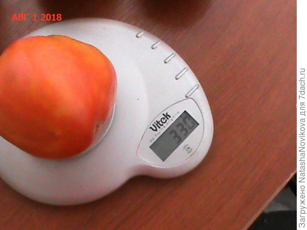 он же, потом разрежу