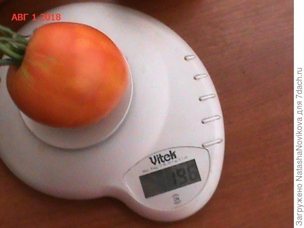 &amp;quot;Орлиное сердце&amp;quot; ели, вкусный))