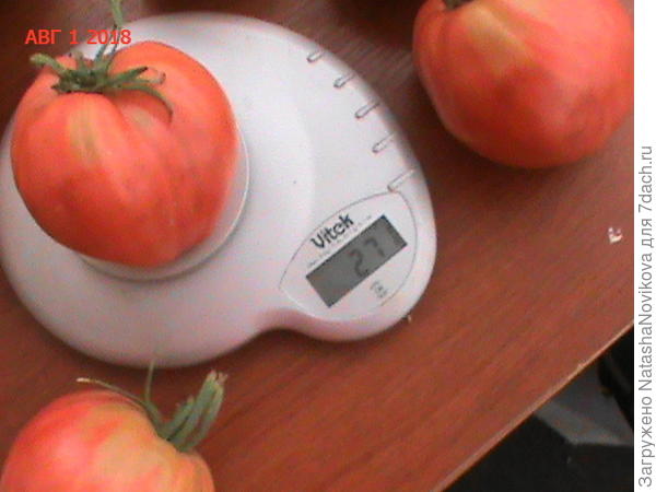 &amp;quot;Орлиное сердце&amp;quot;