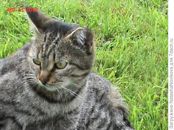 прям красотка))