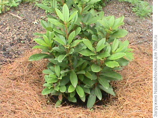 а вот ещё в июле первого года жизни у меня