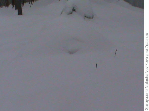 вот маленько затенила снег, в этом сугробе под дугами и укрывным мой родик))